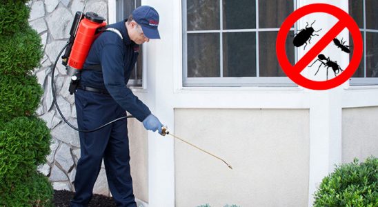 Kadıköy Böcek ve Haşere İlaçlama böcek ilaçlama ve haşere kontrolü — ilaclama-tr.com